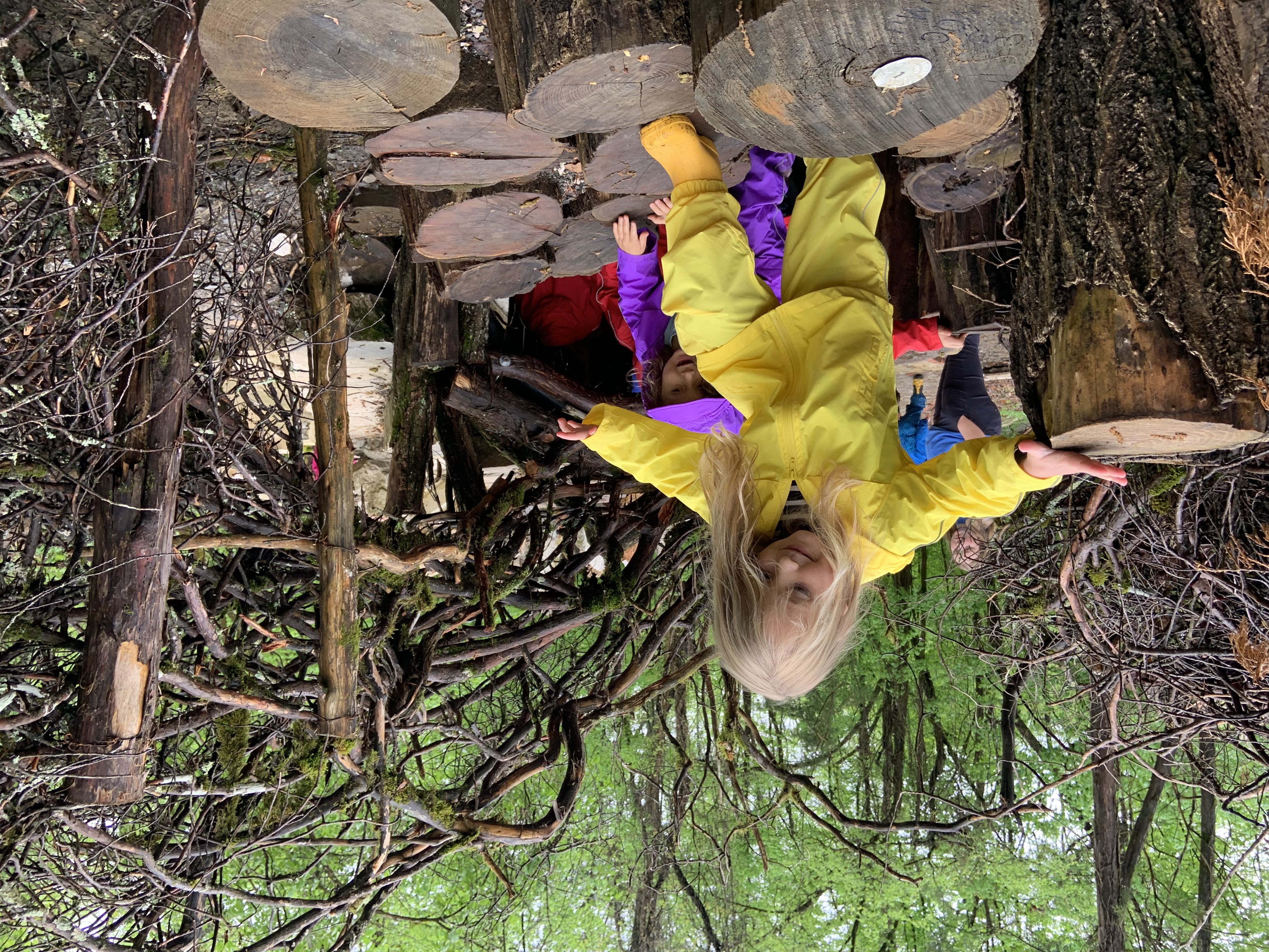 Girl_Climbing_Log_Steps_at_Ijams_Nature_Playscape_by_Cindy_Hassil.jpg