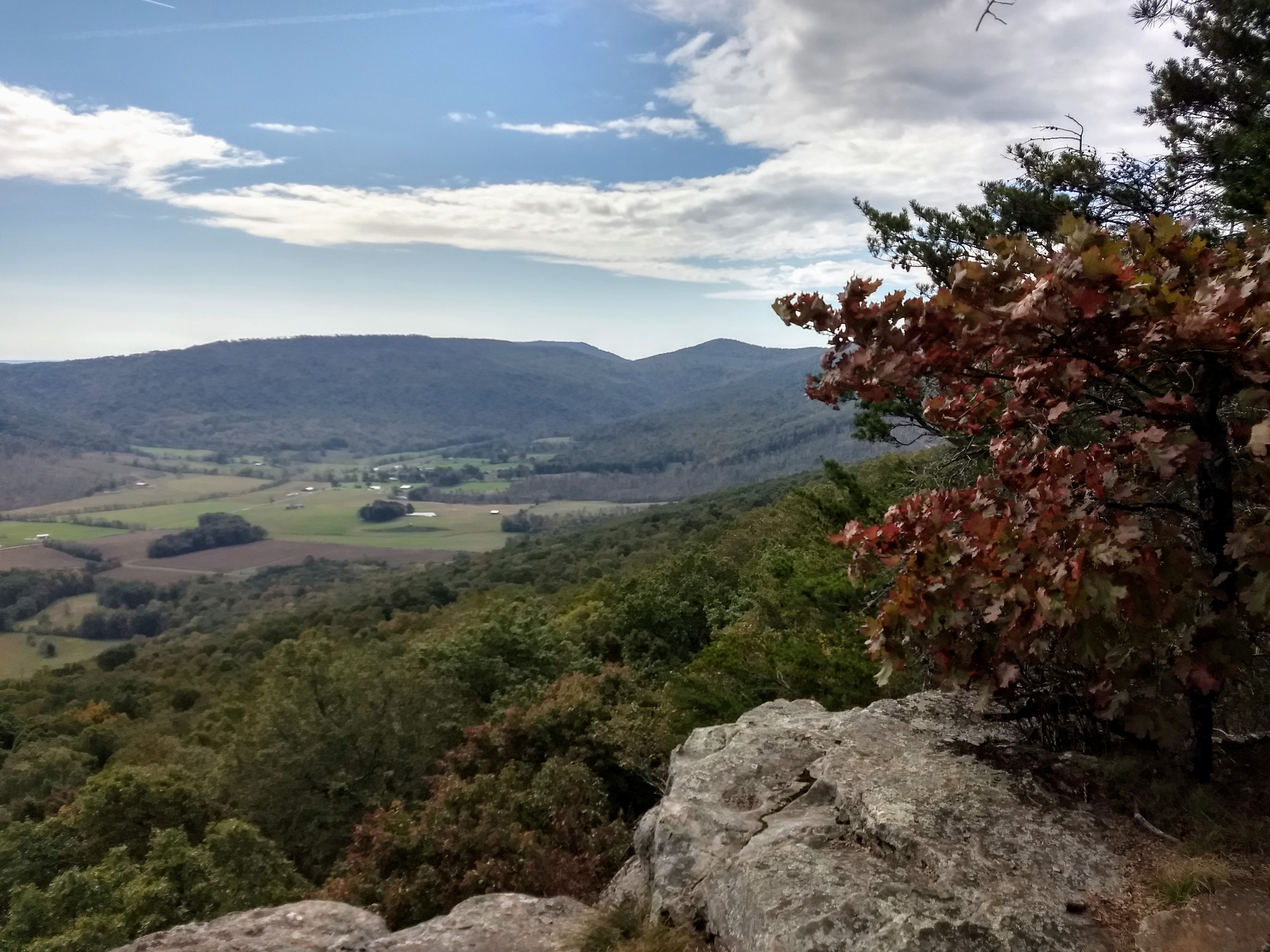 IMG_20201018_115753614_HDR.jpg