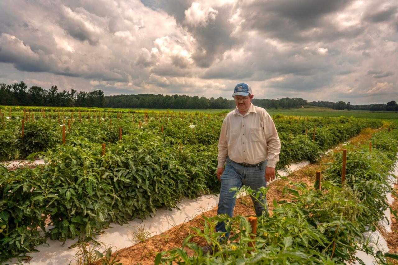 MIKES PRODUCE