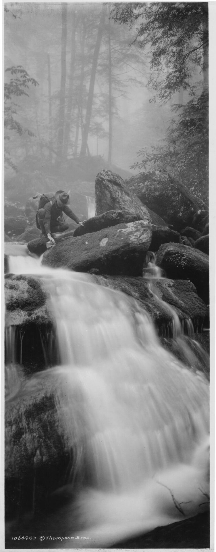 Mountain Stream