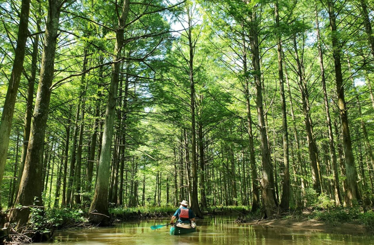 North Fork Wolf River 1536x1007