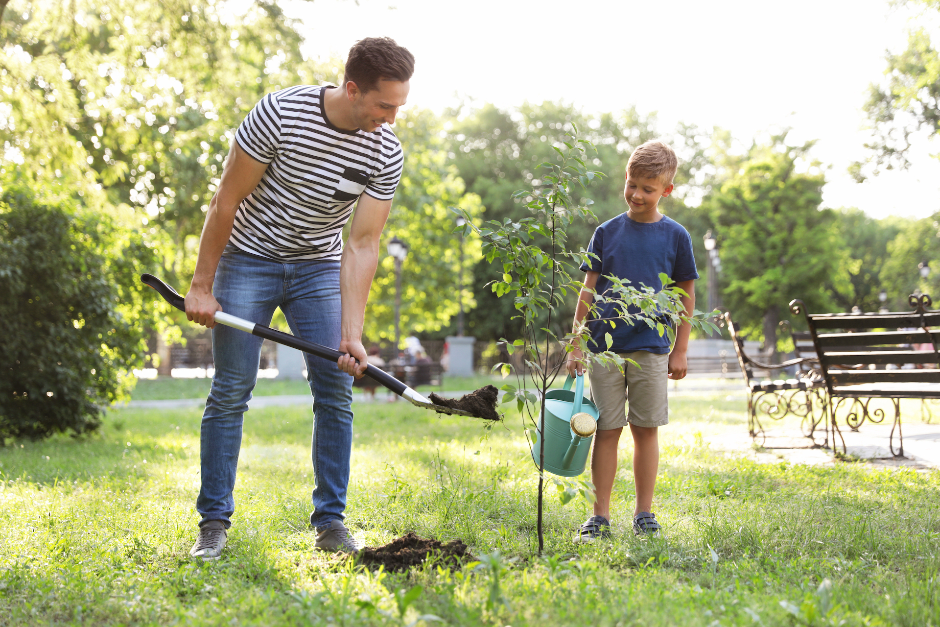 TreePlanting_BazillionBlooms.jpeg