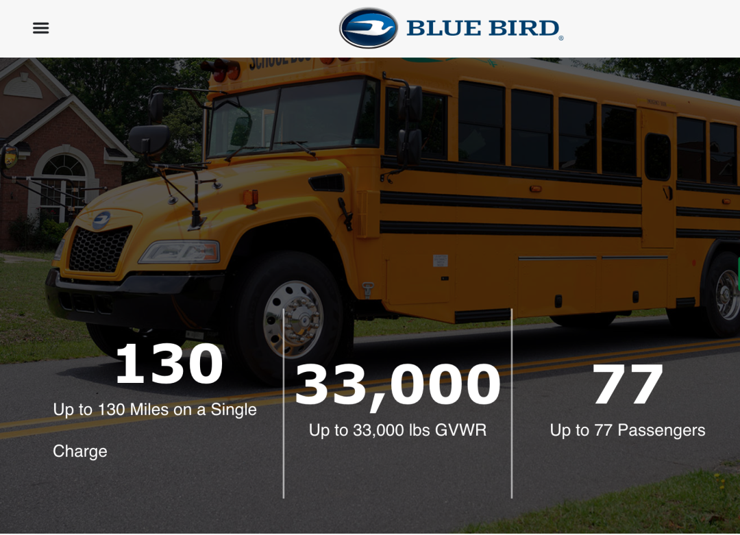 bluebird