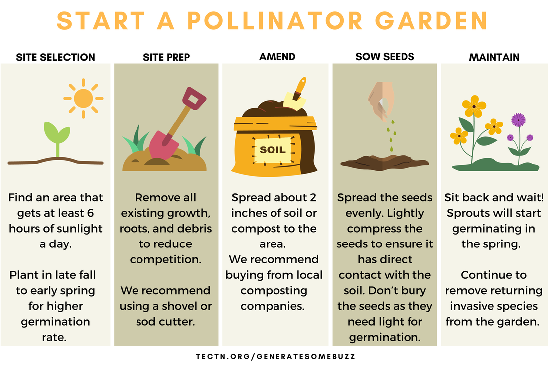 guide-to-growing-wildflowers_orig.png