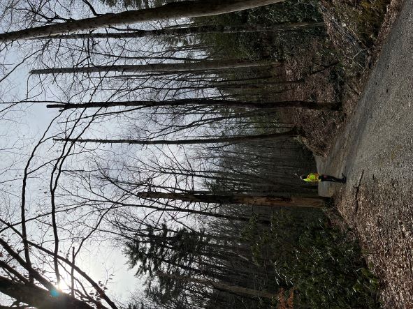 Parson Branch Road