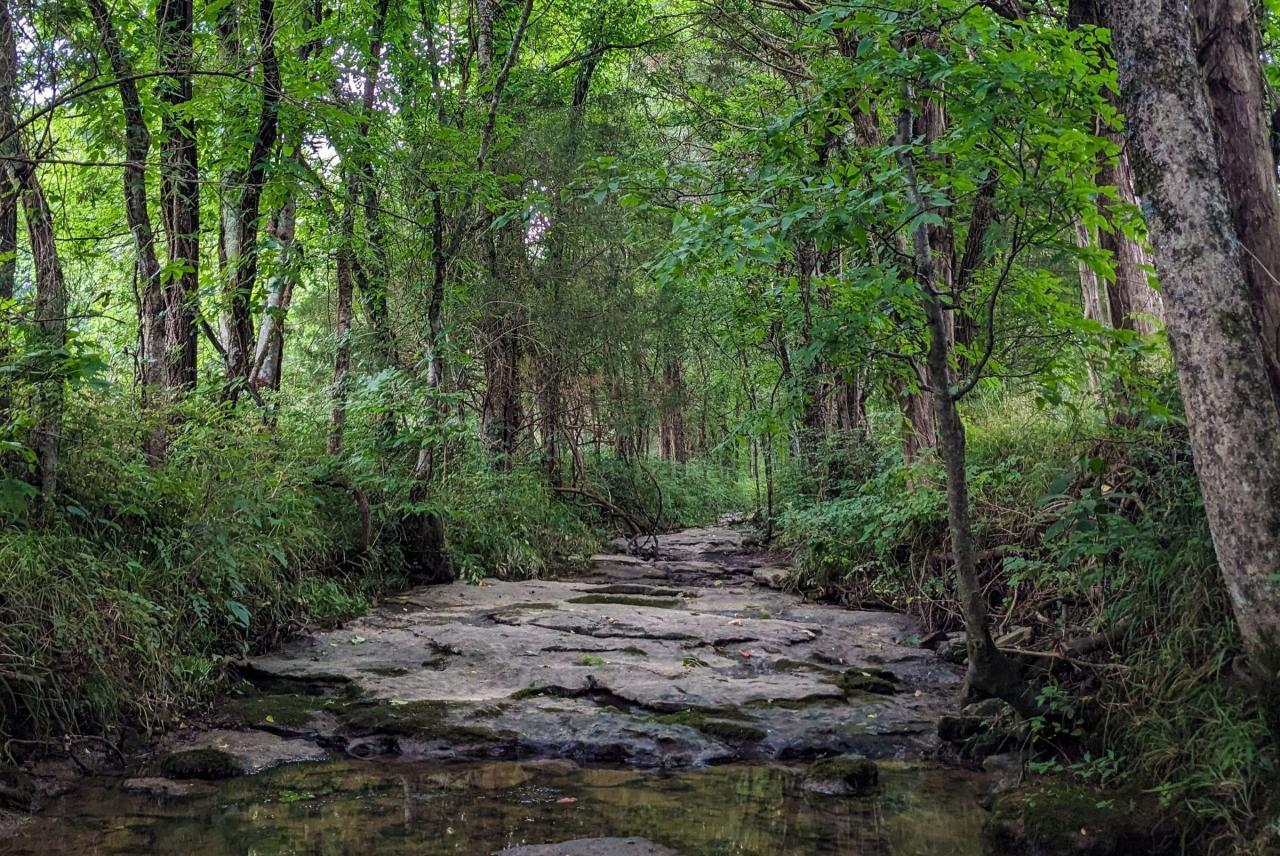 springcreek