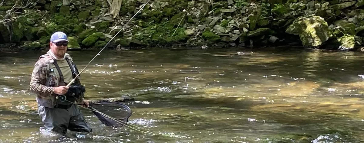 trout_bradley.jpg.webp